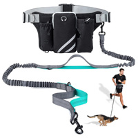 Sac banane double pour chiens en nylon personnalisé avec laisse élastique réfléchissante, double poignée, absorption des chocs, anti-traction, pour jogging en extérieur, kit pour animaux de compagnie