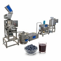 Ligne de production de jus de fruits personnalisable, ensemble complet d'extracteurs de jus, de machines à pulper, à stériliser et à emballer