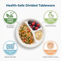 XS-YP9G3 Suikerrietbagasse 3-delige biologisch afbreekbare borden Wegwerp servies Luxe feestborden voor verjaardagen