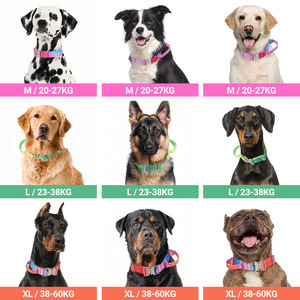 Kalung Anjing Gradien Warna-Warni untuk Jalan-Jalan, Latihan, Penggunaan Sehari-hari di Luar Ruangan, Anti-Lepas, Lembut, Tahan Lama, Kalung Anjing Taktis - Product Image 5