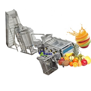 Jalur produksi pengolahan jus palem stroberi proyek Turnkey - Product Image 1