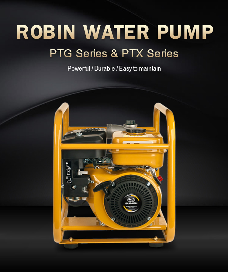 Robin EY20 水中ポンプ HP 402 CERAMIC Original Robin EY25 Water