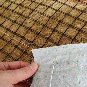 Tapis de contrôle de l'érosion en fibre de coco renforcée Geonet, géotextile durable en fibre de coco pour le drainage des pentes raides, des barrages et la protection des routes contre l'érosion - Product Image 3