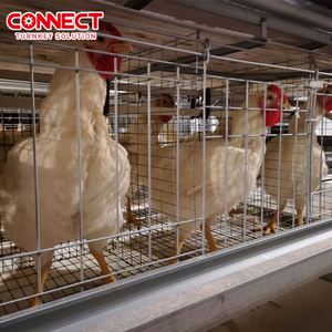 Sistema di Gabbie per Galline Ovaiole Automatico Multilivello Tipo H in Materiale HDG Completo per Allevamento Avicolo - Product Image 1