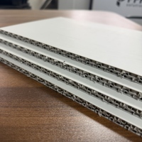 Boîtes de transport robustes en PP alvéolé mat de 7 mm, 10 mm, 12 mm, 13 mm, panneaux alvéolés pour transport aérien, boîtes ATA alvéolées, feuilles alvéolées
