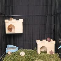 Nichoir suspendu imperméable en bambou pour animaux de compagnie, pont, étagère, cachette pour hamsters, chinchillas, cochons d'Inde, décoration de cage, lit de repos, cachette