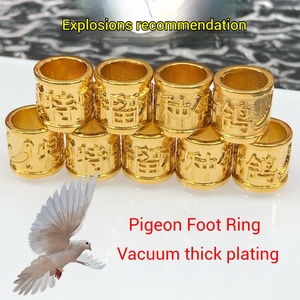 鸽子松环闭合环脚环真空厚电镀赛鸽训练鸽子宠物码识别 - Product Image 5