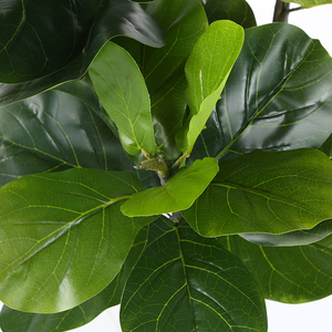 Buena calidad rama comprar árbol artificial ficus lyrata <span class=keywords><strong>bonsai</strong></span> al por mayor violín hoja de higo - Product Image 2