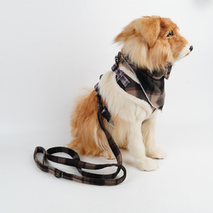 Harness Anjing Model Step-in dengan Logo Kustom OEM, Harness Anjing Fashionable dan Tahan Lama, Harness Anjing yang Dapat Disesuaikan dan Anti Tarik - Product Image 6