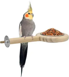 Fornecimento de pássaros papagaios com haste de madeira maciça alimentador em aço inoxidável