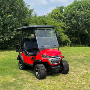 Tongcai 2025 thiết kế mới sang trọng off road điện 48V 72V pin lithium 4 chỗ ngồi Golf giỏ hàng - Product Image 2