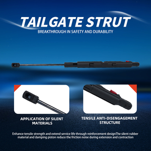 Sogefi động cơ núi hỗ trợ mui xe nâng khí mùa xuân sốc strut trái OE 2139800164 cho Mercedes-Benz E50 E53 1 năm bảo hành - Product Image 5