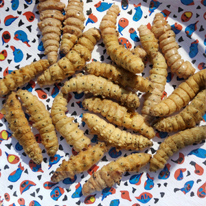 Larves de Mouches Soldat Noires Séchées Riches en Protéines, Sans Céréales, pour la Santé Digestive des Poissons, 10kg MOQ - Product Image 6