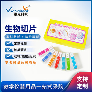 New <b>microscope</b> specimens, custom biological slides, 35-slide biological kit, for primary school teaching. - Product Image 5