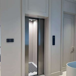 Ascensor Panorámico Comercial con Accionamiento de Tornillo para Uso en Oficinas y Residencias, para Hoteles, Villas y Aplicaciones al Aire Libre - Product Image 1