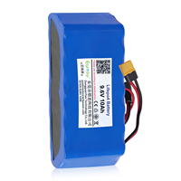 Batterie LiFePO4 Lithium-Ion 9,6V 10Ah 96Wh avec BMS, durée de vie 3000 cycles, température de fonctionnement 0~55°C pour éclairage solaire de jardin