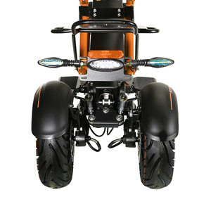 Scooter Eléctrico de 3 Ruedas de Diseño Popular con Batería de Litio de 48v 23.4ah para H-001, Scooter de 3 Ruedas H-001 H-001 - Product Image 3