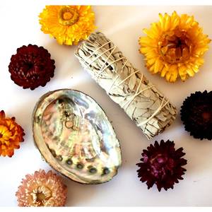 California màu xanh Sage & trắng Sage hương 10cm 4 inch hun khói thánh gỗ từ Peru hương liệu khuếch tán chủ - Product Image 4