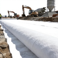 Geotextil de Refuerzo Antienvejecimiento, Tejido de Fibra Discontinua de Alta Tenacidad, Dimensionalmente Estable para Proyectos de Recuperación de Terrenos