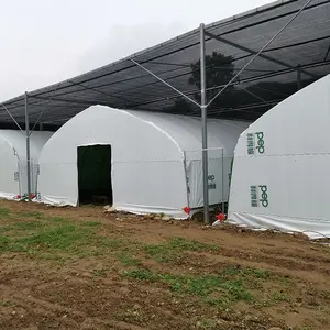 Serra agricola della serra dell'azienda agricola del fungo di PEP bianco nero crescente del fungo da vendere