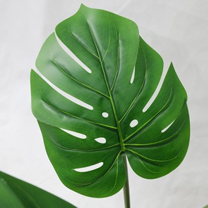 <span class=keywords><strong>Plante</strong></span> artificielle verte très réaliste, grande et <span class=keywords><strong>tendance</strong></span>, de type Canna à épines, pour la décoration de salon, de fenêtre et d'intérieur - Product Image 3