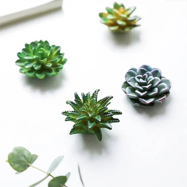 3D เรซิ่น Succulents พืชตู้เย็นแม่เหล็กดอกไม้ตู้เย็น