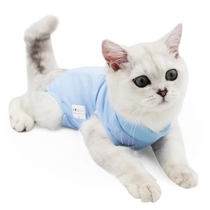Traje de recuperación postoperatoria <span class=keywords><strong>para</strong></span> gatos, mono suave anti-lamido <span class=keywords><strong>para</strong></span> heridas abdominales de gatas y gatitos - Product Image 5