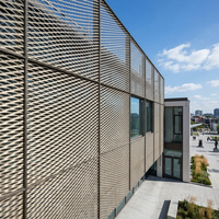 Panneau de clôture en treillis métallique expansé de qualité supérieure, décoratif, anti-éblouissement solaire, protection sécurisée pour fenêtre