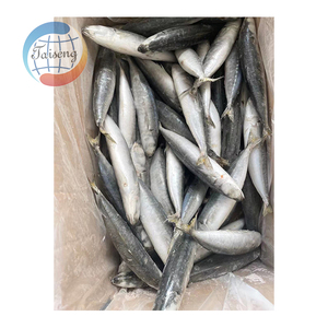 Nuovo <span class=keywords><strong>pesce</strong></span> galunggong muraoji layang congelato - Product Image 5