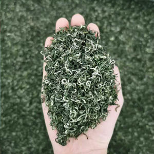 Thé vert chinois célèbre Biluochun, Thé vert de printemps Luxiaoer Green Snail - Product Image 3