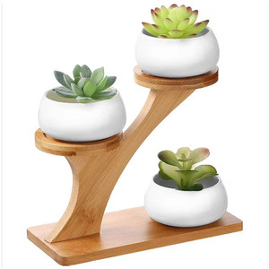 3 <b>Tier</b> Bamboo Succulent <b>Plant</b> <b>Stand</b> Desktop Display Rack Minimalist Design Indoor Use - Product Image 3