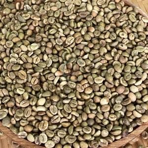 100% <b>Raw</b> <b>Coffee</b> <b>Beans</b> Robusta Green <b>Coffee</b> <b>Bean</b> Size 16 Use in Industrial <b>Coffee</b> Roasting 95% Maturity Jute Bag - Product Image 6