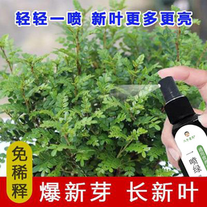 Solution nutritive universelle verte en spray Eight Old Heads One Spray Green 100ml sans dilution pour plantes - Product Image 5