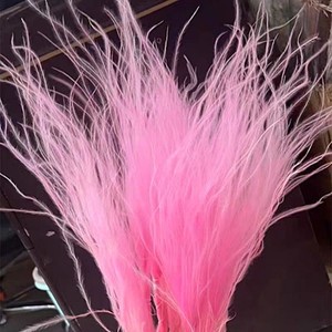 Herbe à plumes, fleur séchée, longue tige, fleur séchée en forme d'aiguille, décoration d'intérieur colorée, accessoires de photographie, vente en gros - Product Image 3