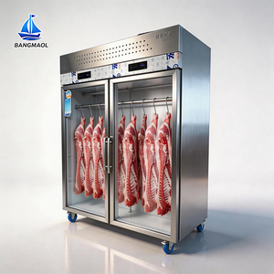 Refrigerador/Freezer Comercial de Aço Inoxidável com Porta Dupla de Vidro para Pendurar Carnes (Carne Bovina e Suína) – Ideal para Açougues - Product Image 2