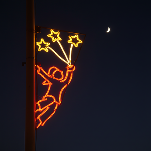 Luces LED Decorativas para Exteriores, Hogar y Jardín, Personalizables, OEM, para Halloween, Navidad, Bodas, con Clasificación IP65 - Product Image 1