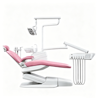 Fauteuil dentaire en cuir PU de type standard haute performance SL8700 de couleur rose avec crachoir en céramique rotatif pour clinique