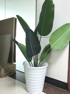 식물 용 플라스틱 냄비 흰색 검은 냄비 - Product Image 6