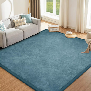 High Quality Wholesale Custom Living Room Thick <strong>Floor</strong> Carpet Non Slip Coral Velvet Kids Play Room <strong>Mat</strong> Thick Baby Foam Play <strong>Mat</strong> - Product Image 4