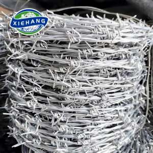 Alambre de Púas Decorativo para Halloween, Alambre de Púas con Diseño de Granja, Especificaciones de Diámetro de Calibre 12.5, Precio de Venta, Alambre de Púas para Cercas Antirrobo, Gran Oferta - Product Image 2