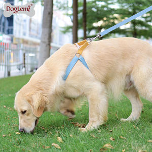 Üretim kaynağı yürüyüş sert köpek demeti moda Ombre renkler adım yelek, evcil hayvan koşumu tasma yok çekme - Product Image 3