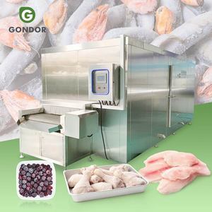 เครื่องแช่แข็งแบบอุโมงค์สำหรับผลไม้และผัก รุ่น Continuous Ultra Nitrogen 2000 กิโลกรัม/ชั่วโมง 200 กิโลกรัม/ชั่วโมง สำหรับการแช่แข็งแบบต่อเนื่องต่อชั่วโมง - Product Image 1