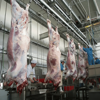 Ligne d'abattage de bétail de grande capacité pour usine d'abattage de bétail de différentes tailles, équipement d'abattoir de bétail