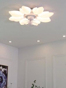 Simple Modern LED Ceiling Fan <b>Light</b> <b>with</b> 10-Year Warranty IP33 Rated for Home Office Bedroom Balcony Acrylic - Product Image 4