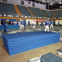 Tapis de judo en toile haute densité pour l'entraînement au karaté, imperméables, tapis de BJJ et de judo