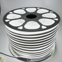 Vente en gros de néons de décoration extérieure Bande Led IP67 220V 110V 12V 24V 6*12 8*16 SMD2835 120leds/m 5m 50m 100 m/rouleau
