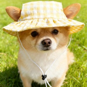Chapeau pare-soleil pour animaux de compagnie, design à carreaux, été, jaune, taille M L, pour chiens, style mignon - Product Image 2