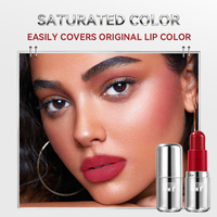 Rouge à lèvres mini capsule personnalisé avec logo, tube argenté, waterproof, longue tenue, hydratant, haute pigmentation, fini velours mat, maquillage pour les lèvres en gros