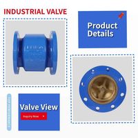Válvula de Retención Silenciosa de Hierro Dúctil HC41X-16Q PN16 con Extremo de Brida, Sello EPDM y Disco de Latón para Bomba de Agua, HVAC y Protección Contra Incendios