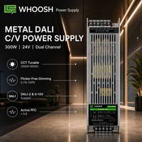 Driver LED sans ventilateur WHOOSH DALI dimmable 300W 24V 12.5A IP20 pour éclairage intérieur commercial, bureaux et hôtels